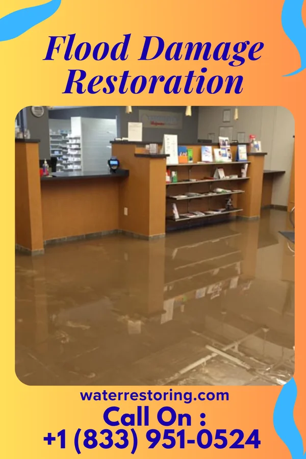 Flood Damage Restoration in Fridley, MN