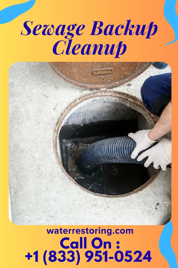 Sewage Backup Cleanup in Fridley, MN
