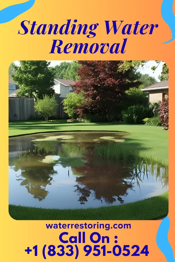 Standing Water Removal in Fridley, MN